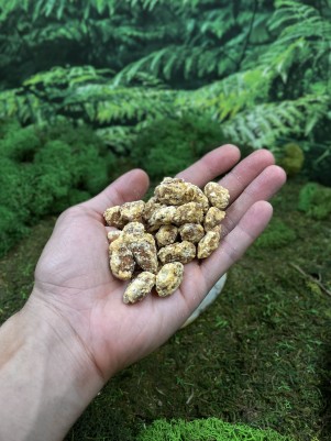 Миндаль с дурианом сорта Монтонг, 150 г