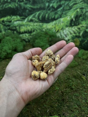 Микс орехов с дурианом сорта Монтонг, 150 г