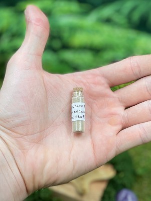 Рапэ Tsunu Cravo (Shanenawa), пробник 1,5г. Гвоздичная мощь