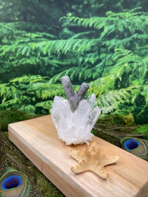 Трубка для Рапе | Курипи из камня Яшмы