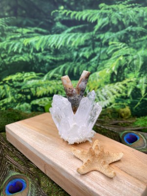 Трубка для Рапэ | Курипи из камня Агата