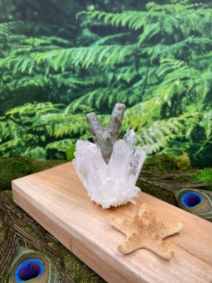 Трубка для Рапэ | Курипи из камня Жадеита