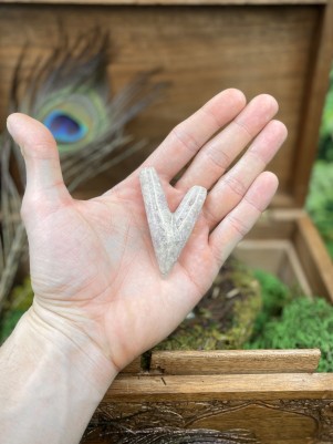 Трубка для Рапэ | Курипи из аметистовой крошки (V-форма)