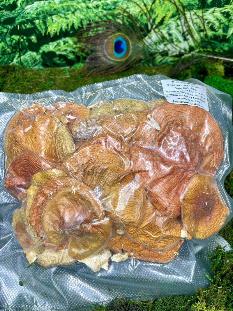 Мухомор красный (Amanita muscaria), Царь гриб, алтай, раскрытые шляпки, 1й сорт, лучшего качества 500г.