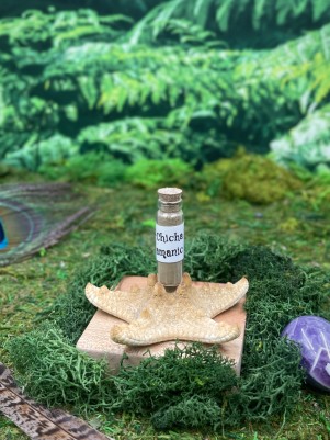 Рапэ Chicha (Huni Kuin), пробник 1,5г. Иньская сила