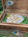 Трубка для Хапе | Курипи из каменной крошки “Sun Crystal”