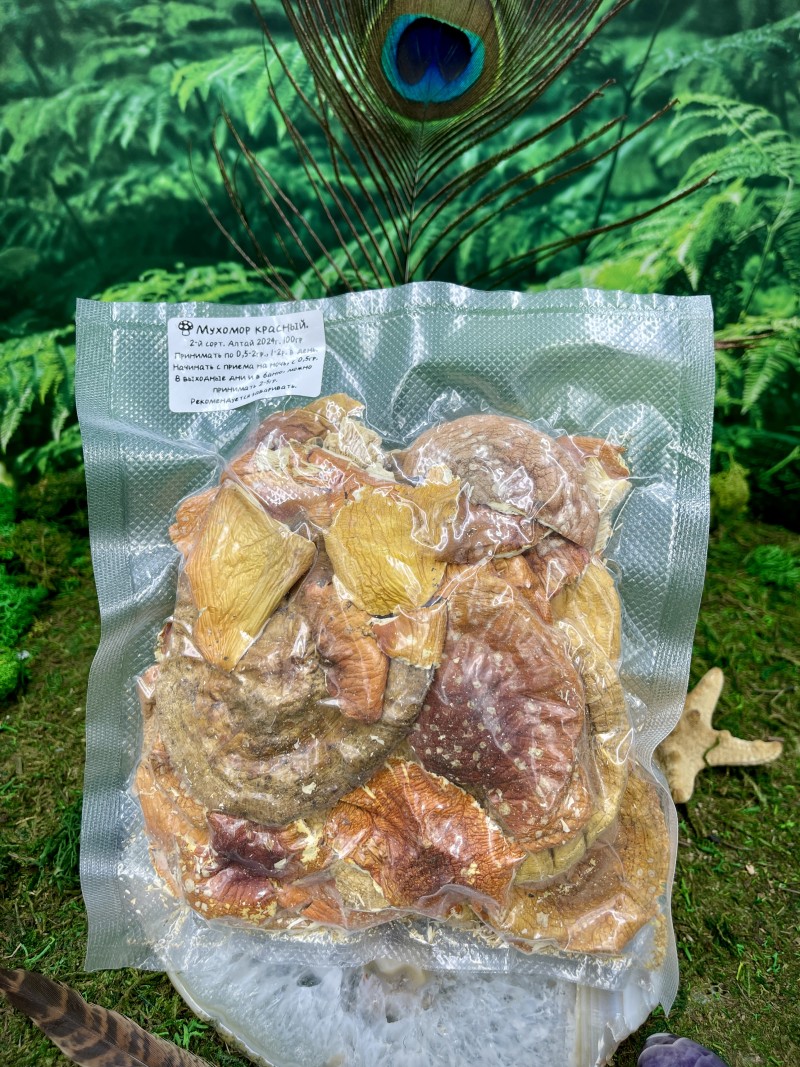 Мухомор красный (Amanita muscaria), Царь гриб, алтай, раскрытые шляпки, 2й сорт, хорошего качества 100г.