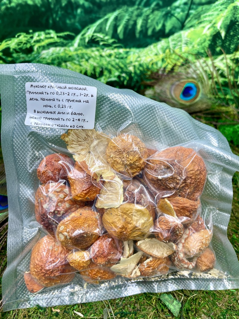 Мухомор красный молодой (Amanita muscaria) (шарики), Царь гриб, алтай, высший сорт, лучшего качества 50г.