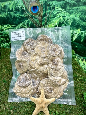 Мухомор пантерный (Amanita pantherina), Дедушка Царь гриб, алтай, раскрытые шляпки, 1й сорт, лучшего качества 50г.