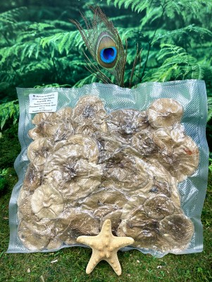 Мухомор пантерный (Amanita pantherina), Дедушка Царь гриб, алтай, раскрытые шляпки, 1й сорт, лучшего качества 100г.