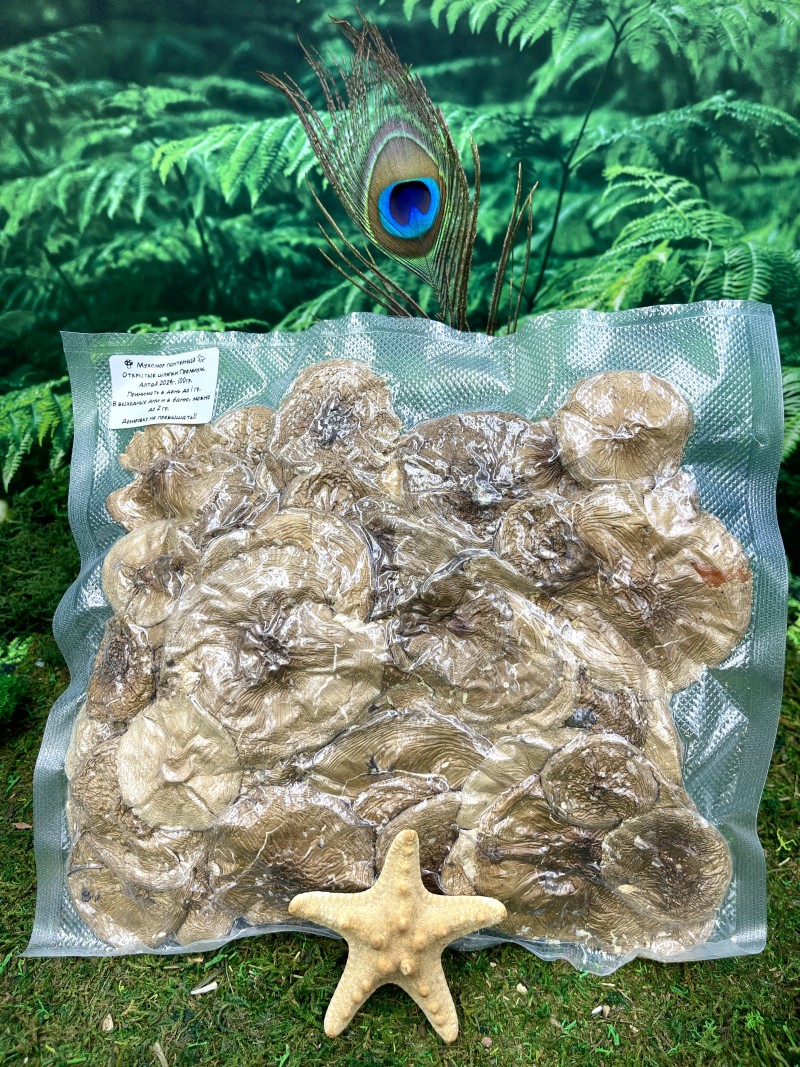 Мухомор пантерный (Amanita pantherina), Дедушка Царь гриб, алтай, раскрытые шляпки, 1й сорт, лучшего качества 100г.