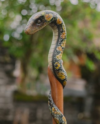 Посох Змей «Анаконда» | Тик • Лабрадорит • Ручная окраска