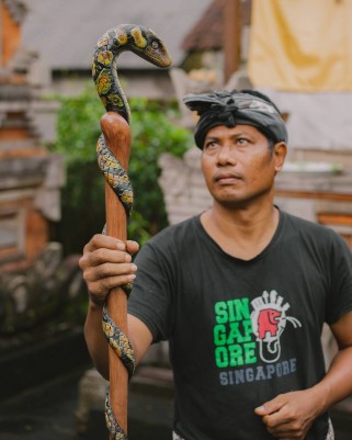 Посох Змей «Анаконда» | Тик • Лабрадорит • Ручная окраска