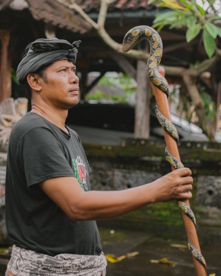 Посох Змей «Анаконда» | Тик • Лабрадорит • Ручная окраска