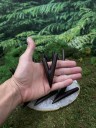 Курипи Синглблок из дерева Эбен