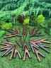 Курипи Синглблок из дерева Тамаринд
