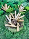 Курипи Синглблок из дерева Чемара