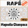 Magnolia champaca · 10г