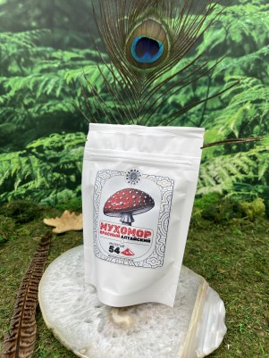 Мухомор красный (Amanita muscaria), Царь гриб, алтай, 54г.