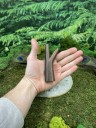 Курипи Синглблок Стендинг из дерева Эбен