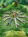 Курипи Синглблок Стендинг из дерева Эбен