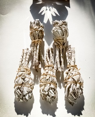 White Sage — Шалфей калифорнийский, Белый Шалфей, пучок "факел" 15-20 г.