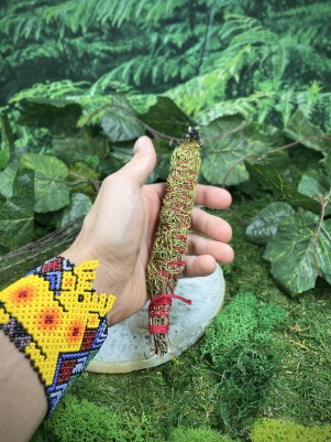 Можжевельник Артыш (Алтай) Скрутка 20-25 см