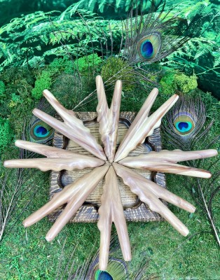 Курипи Single Block XXL Фул Пауэр, из дерева Чемара 