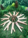 Курипи Синглблок Стендинг из дерева Чемара Unic