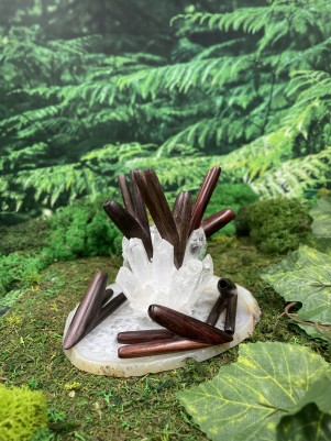 Двойная Курипи из дерева Эбен | Редкая трубка для Рапэ