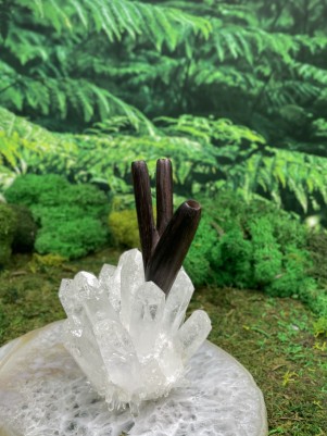 Двойная Курипи из дерева Эбен | Редкая трубка для Рапэ