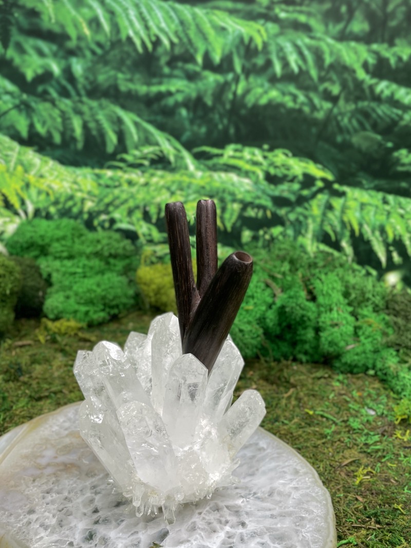 Двойная Курипи из дерева Эбен | Редкая трубка для Рапэ