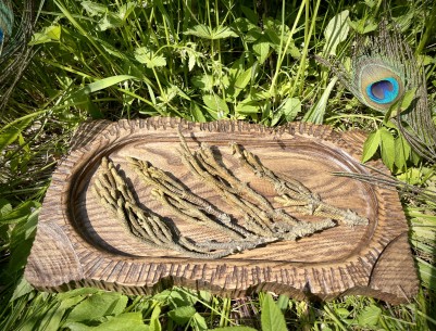 Palma Dulce - веточки