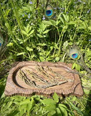 Palma Dulce - веточки