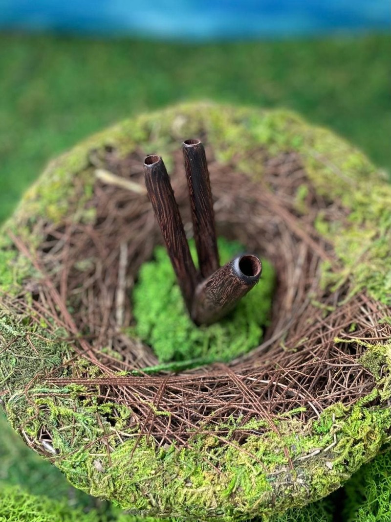 Двойная Курипи из дерева Тамаринд | Уникальная трубка для Рапэ