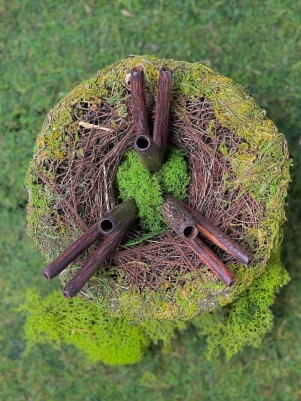 Двойная Курипи из дерева Тамаринд | Уникальная трубка для Рапэ