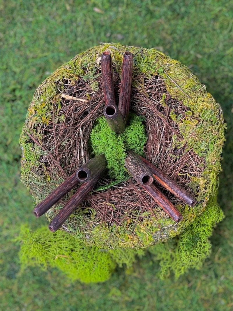 Двойная Курипи из дерева Тамаринд | Уникальная трубка для Рапэ