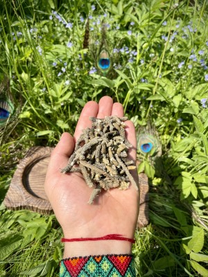 Palma Dulce - кусочки соцветий