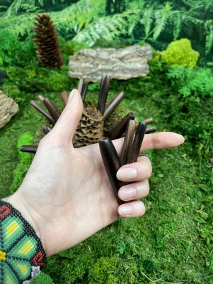 Двойная Курипи из дерева Соно Дарк — инструмент для Рапэ