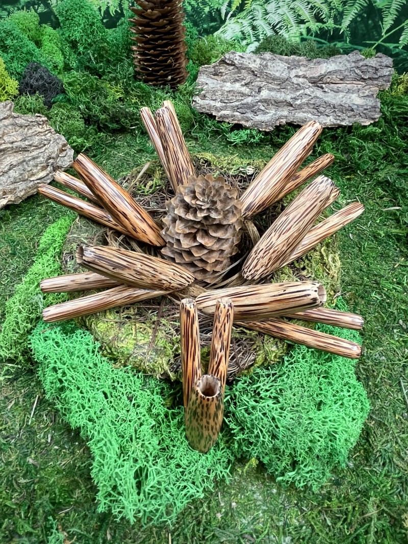 Двойная Курипи из Кокоса — Красивая трубка для Рапэ