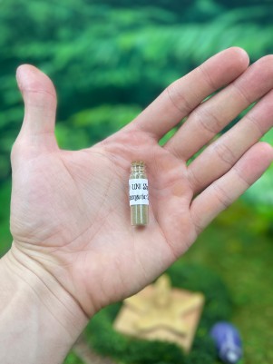 Рапэ Uni (Shanenawa), пробник 1,5г. Тихая сила джунглей