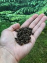 Чай ГАБА Алишань «Бриллиант» 250 г | улун, Premium Grade, вакуумная упаковка