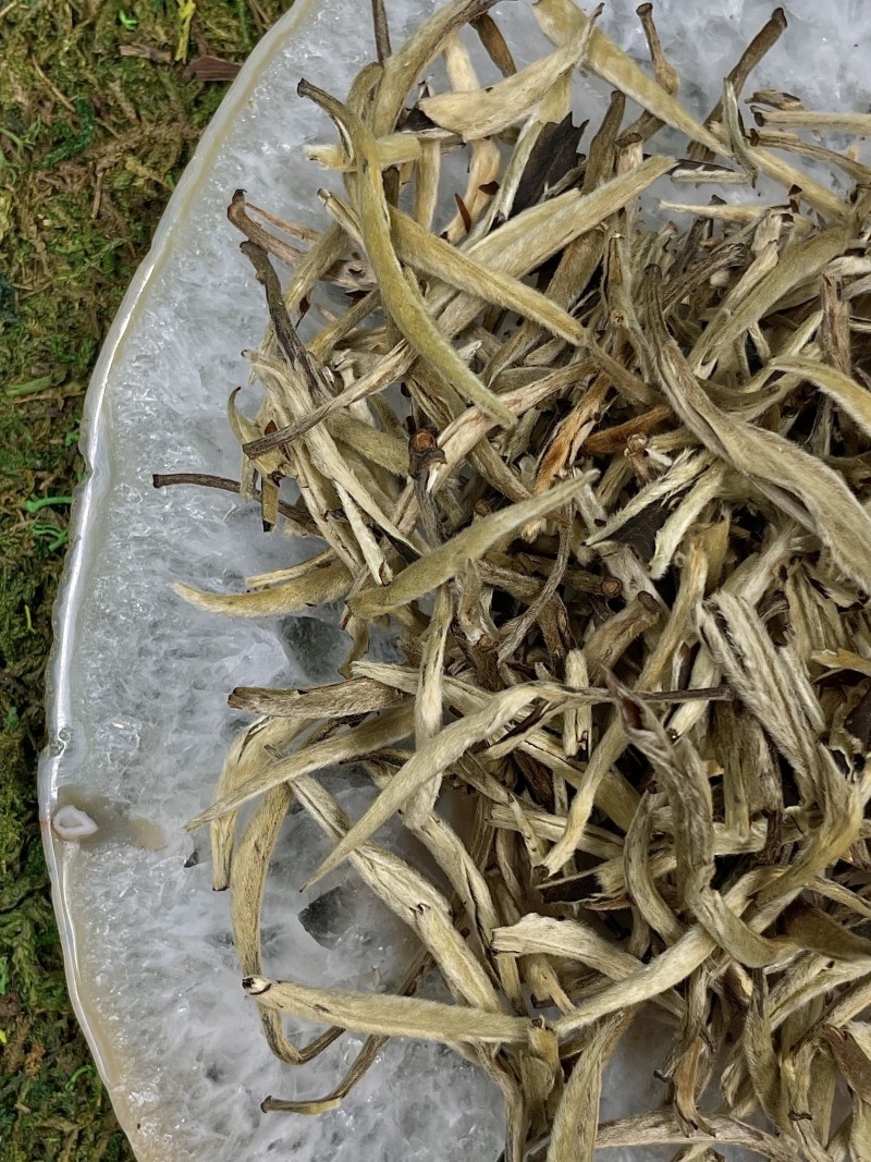 Бай Хао Инь Чжэнь, Юньнань, 2024 г - 10 г