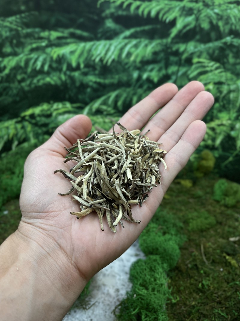 Бай Хао Инь Чжэнь, Юньнань, 2024 г - 25 г