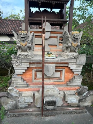 Посох Орёл, Голос Неба с Ониксом ☥ I, из дерева Соно ручной работы.