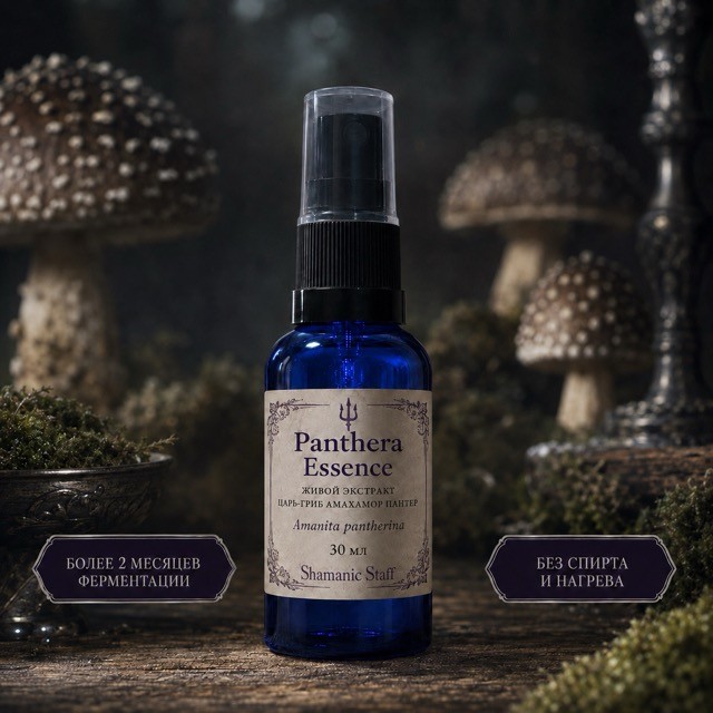 Panthera Essence, живой экстракт Царь-Гриба Амахамора Пантер, 30 мл