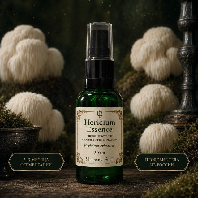 Hericium Essence, живой экстракт плодовых тел Ежовика гребенчатого, 30 мл
