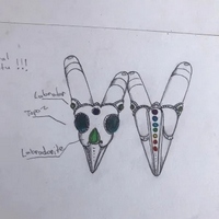 Видение и Синергия